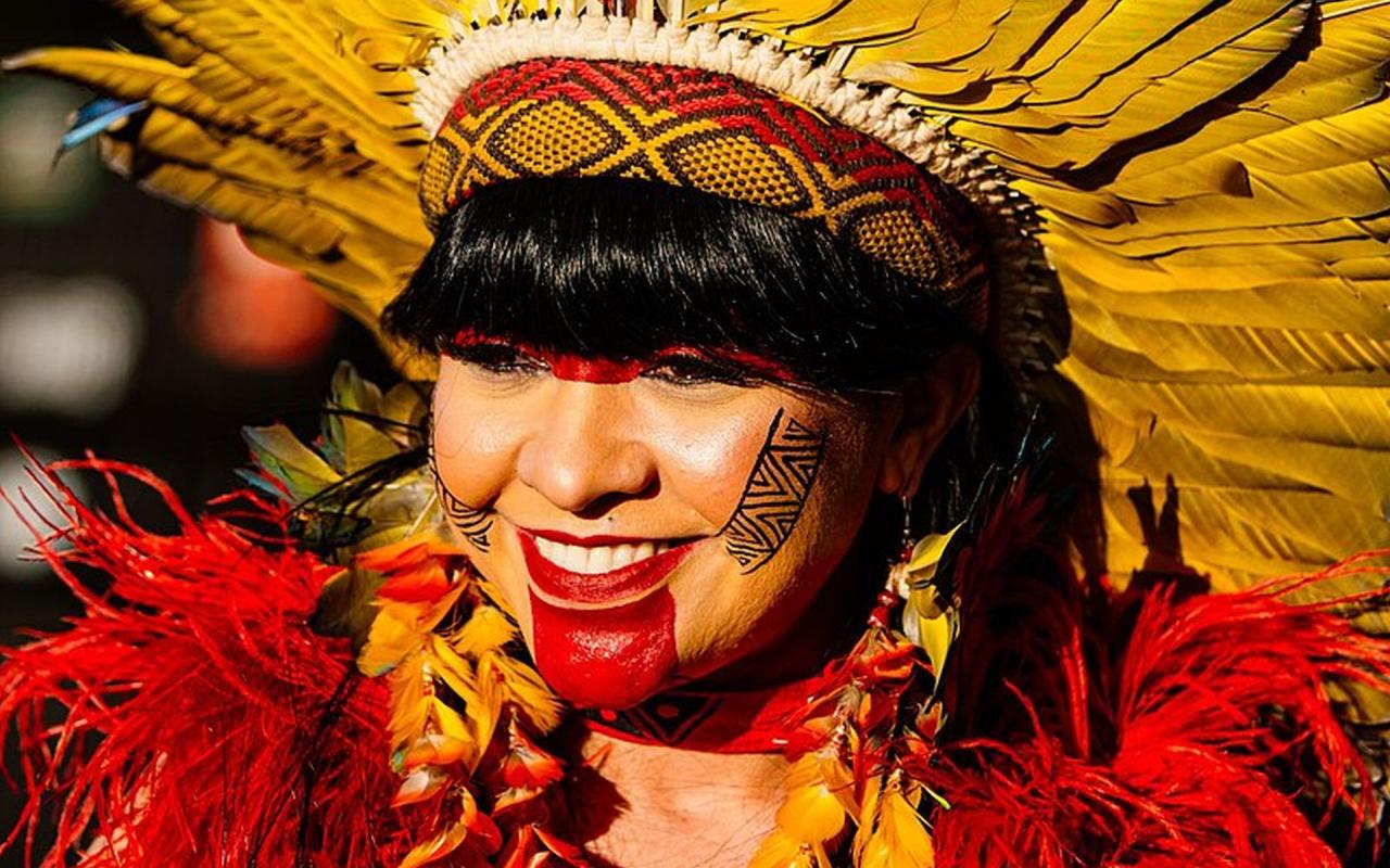 Senado aprova PL do veneno; deputada indígena repudia aprovação