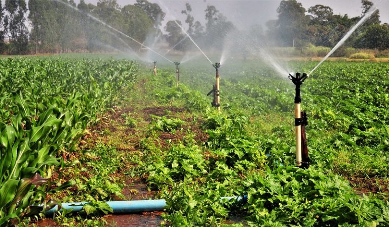 Adiado debate sobre descontos de energia elétrica em atividades de irrigação e aquacultura