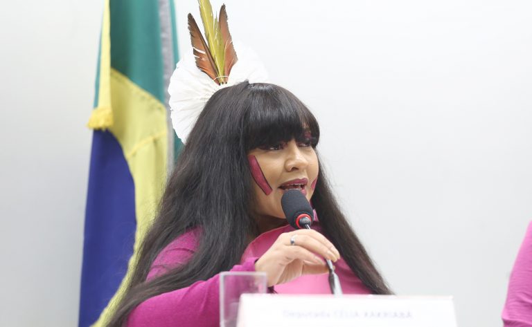 Comissão aprova preferência por profissionais mulheres no atendimento a vítimas de violência doméstica